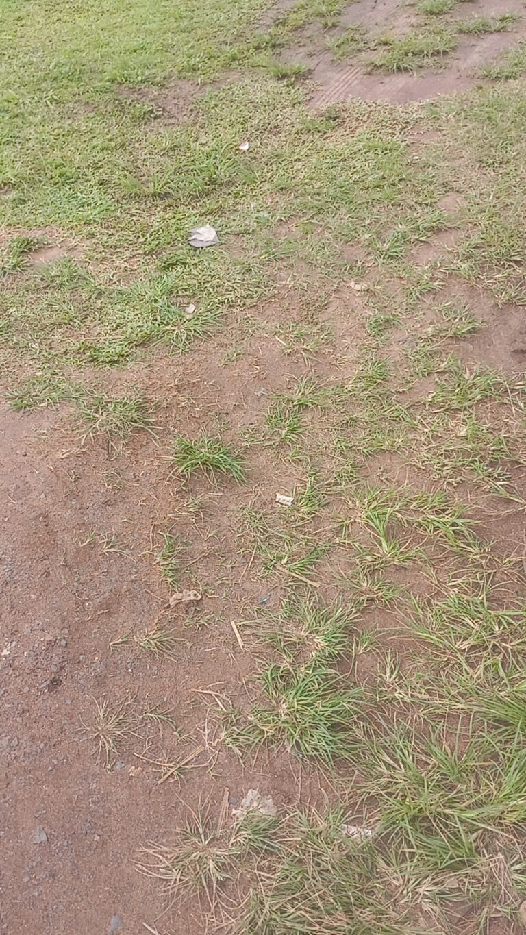 1000033696